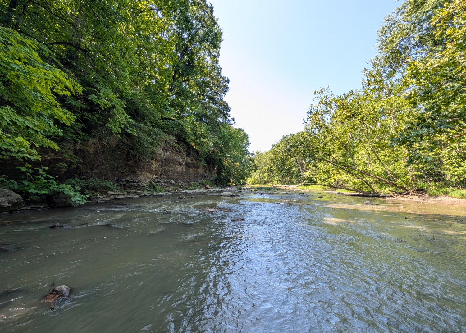 Warmwater Anglers