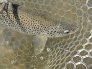 Mad River "Bug Basics" Fly Tying Class